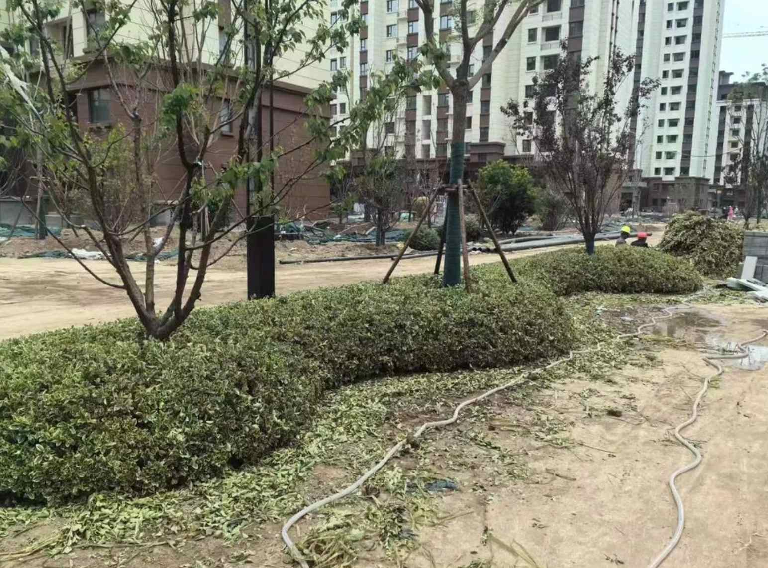 2026年专业景观公司劳务单价