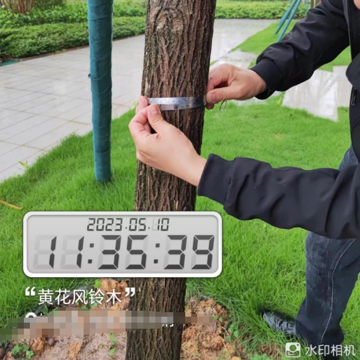 房建园林工程结算审核现场踏勘要点
